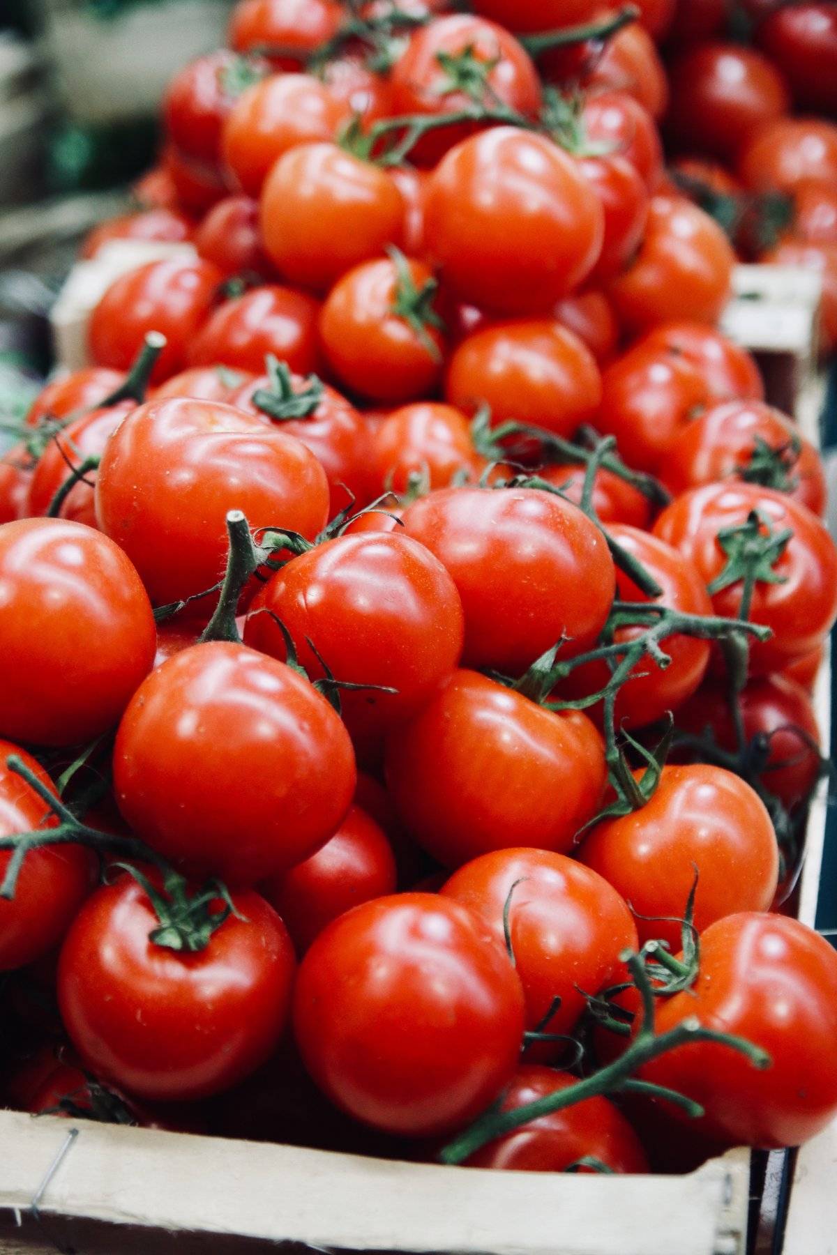 Tomate
