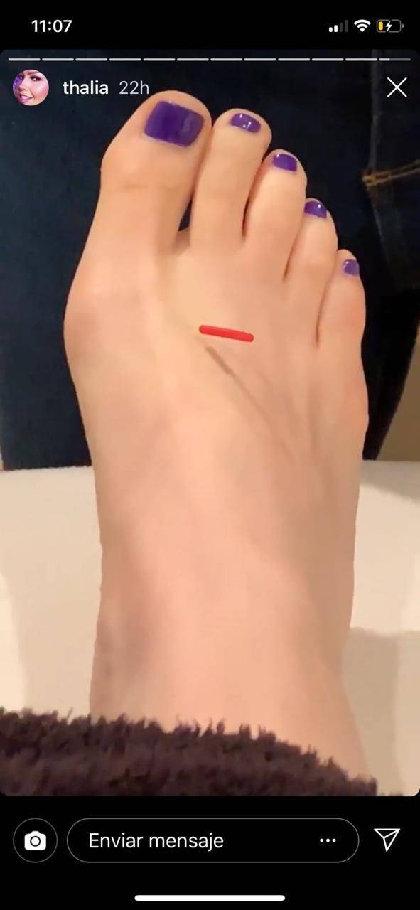pies_547