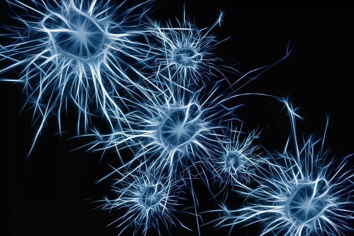 Dormir: ¿Por qué es tan difícil recordar los sueños?
