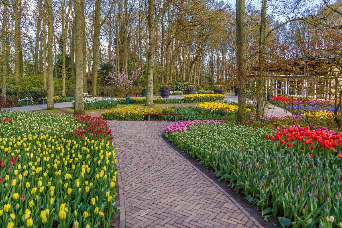Los seis mejores destinos para celebrar la primavera