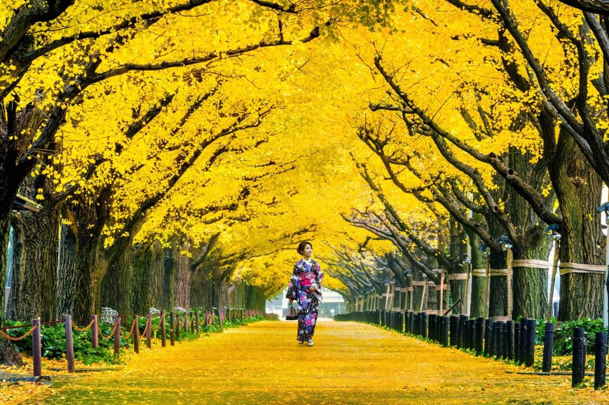 Los seis mejores destinos para celebrar la primavera