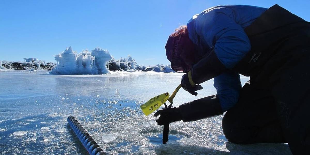 Estudio indica que el 24% del hielo de la Antártida occidental es bastante inestable