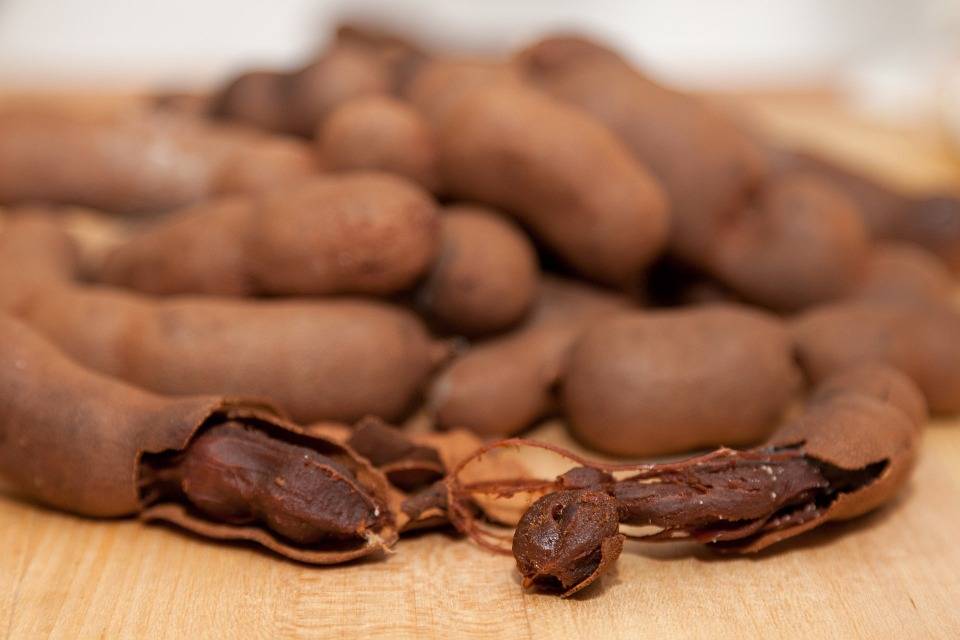 bajar de peso bajar de peso