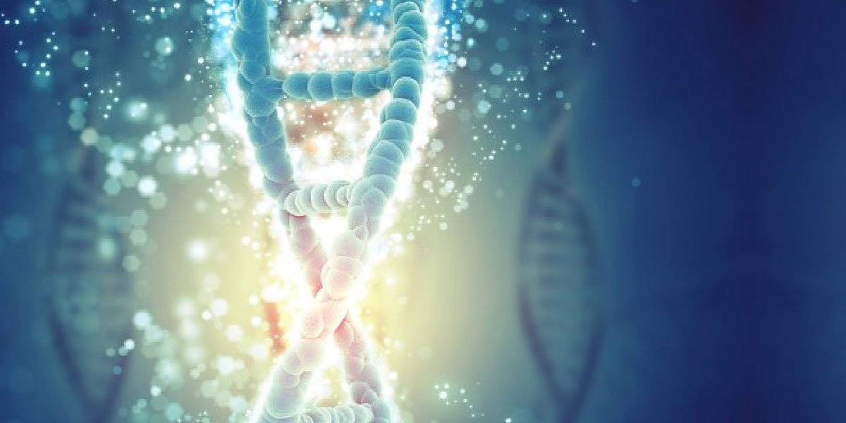 Coronavirus: estos son los avances para la cura parte 4