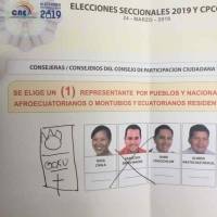 Elecciones 2019: Gokú, Shrek y Don Alfonso marcaron las tendencias en las elecciones