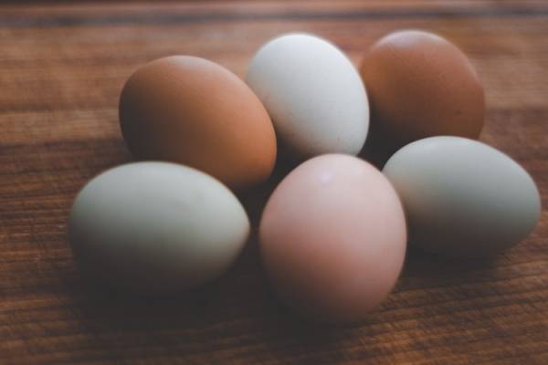 Puede comer huevos se semana cuantos por