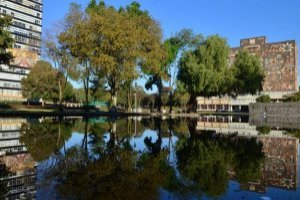 Aquí puedes consultar los resultados de ingreso a la UNAM