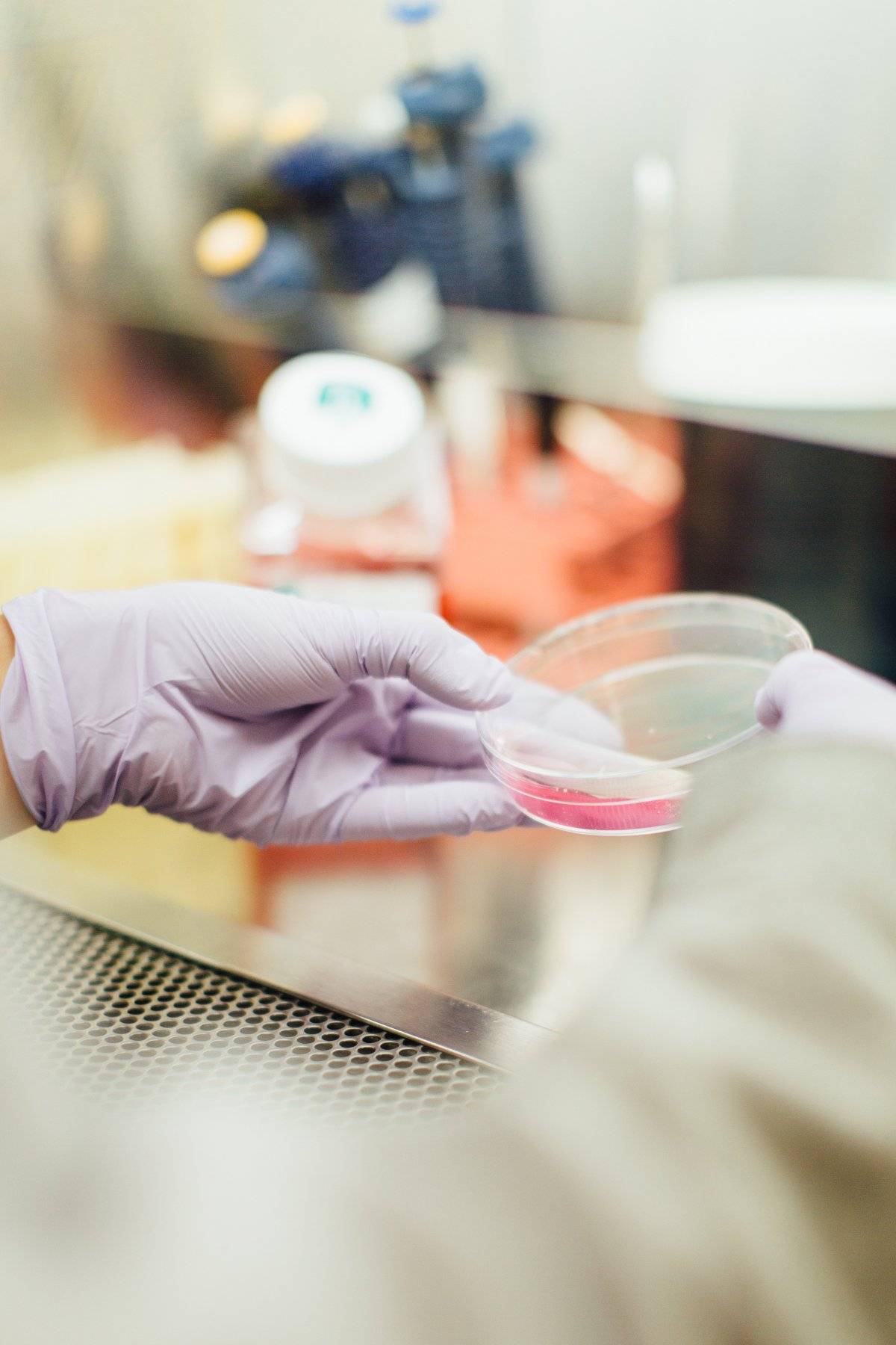 Laboratorio