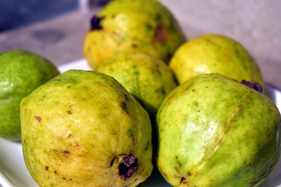 guayaba