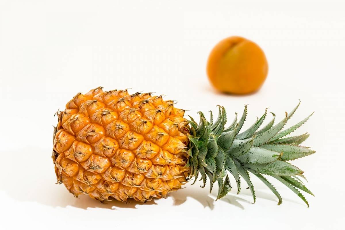 te para adelgazar con cascara de piña