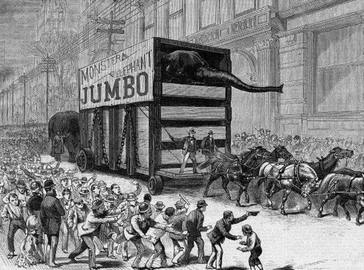 Jumbo