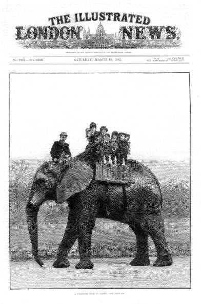 Dumbo