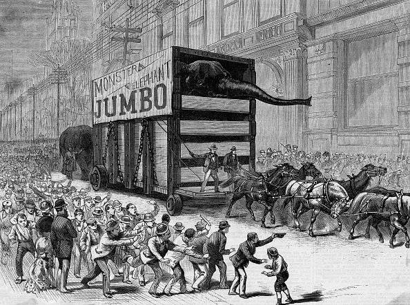 Dumbo