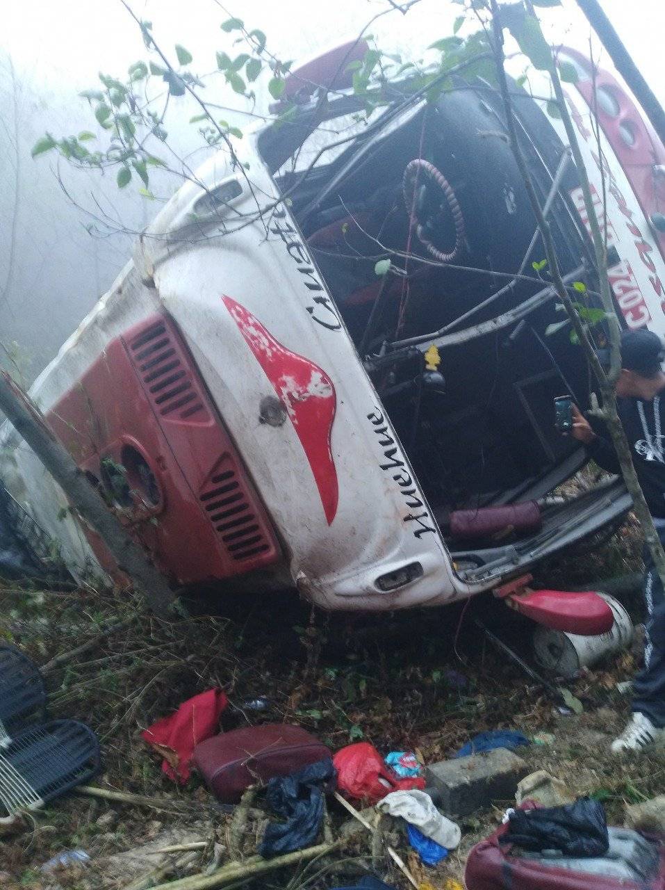 bus