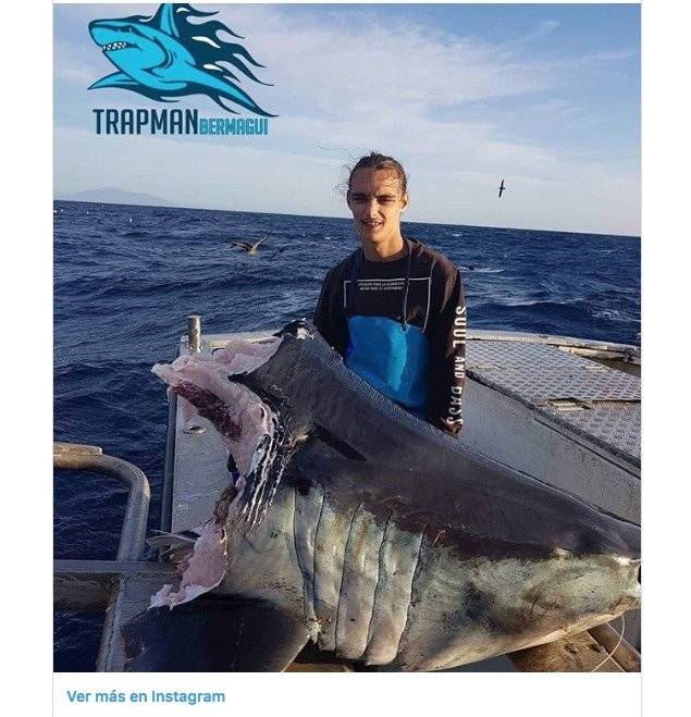 tiburon ataque