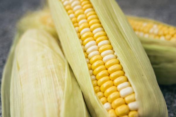 Mejorar la fibromialgia alimentos para