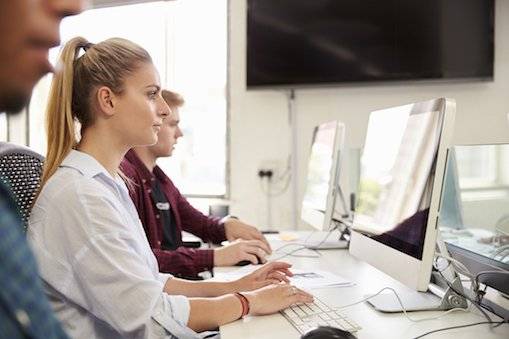 Estudio online