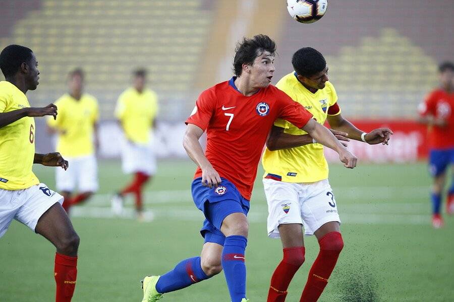 Tapia