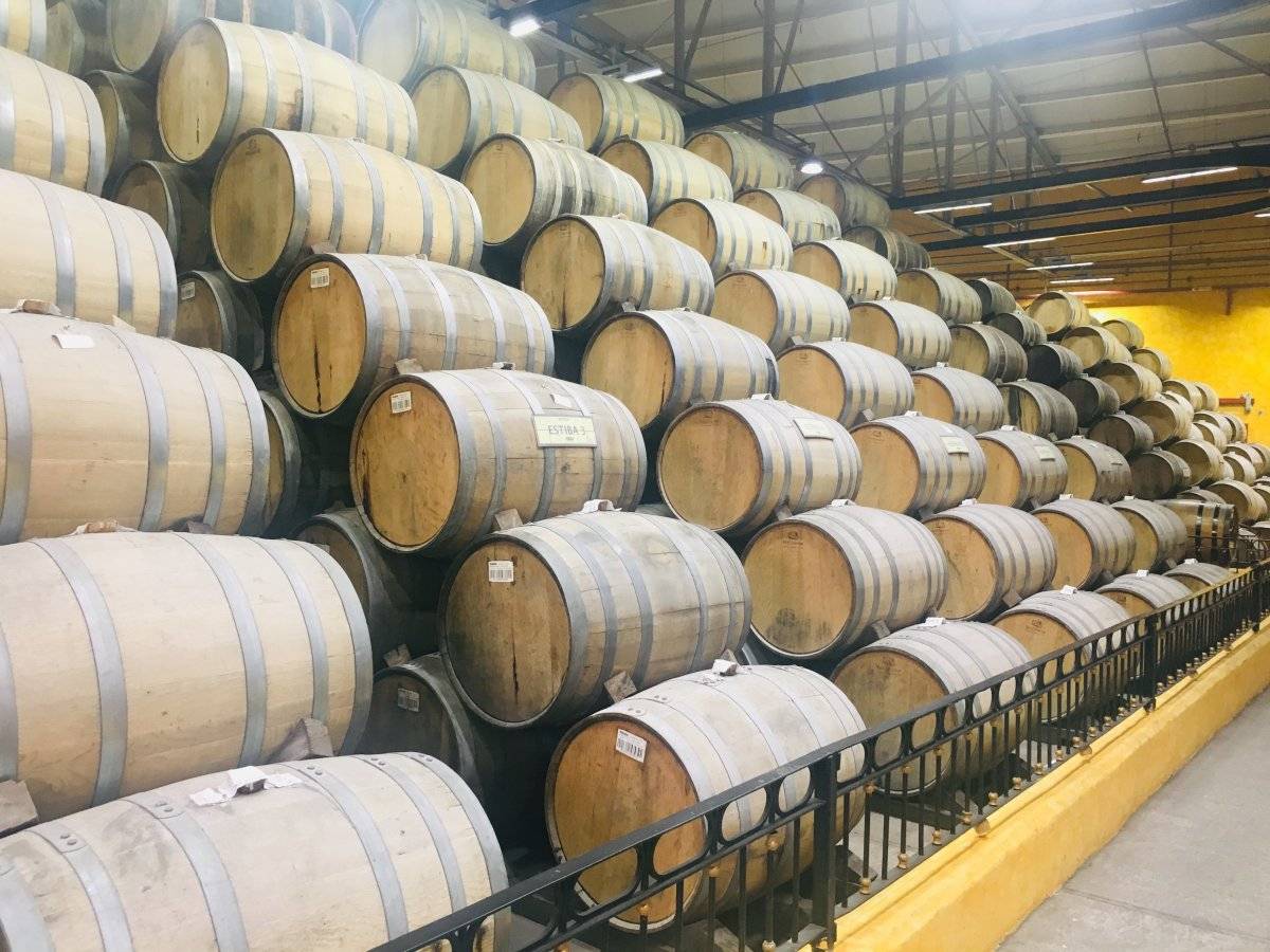Barricas de Tequila