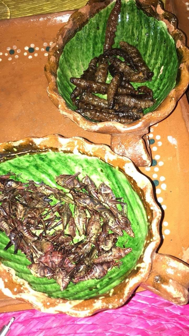 Chapulines y gusanos de maguey, restaurante