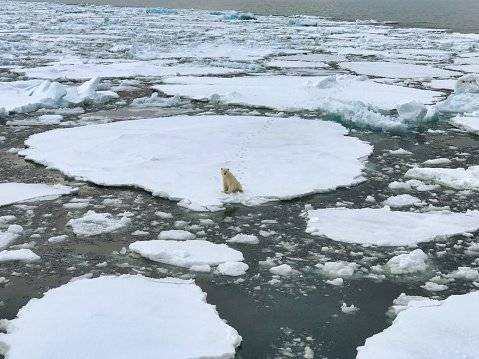Cambio climático