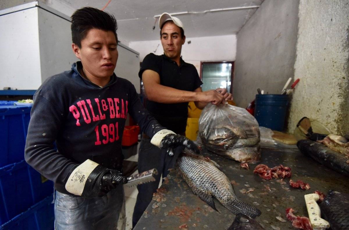 Pescado-cuaresma-3