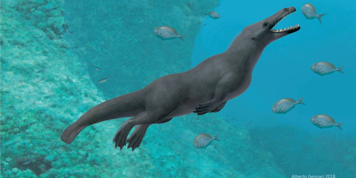 Descubren ballena prehistórica de cuatro patas que habitó las costas de Perú y... ¿quizás de Chile?