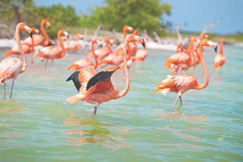 Turismo en Yucatán