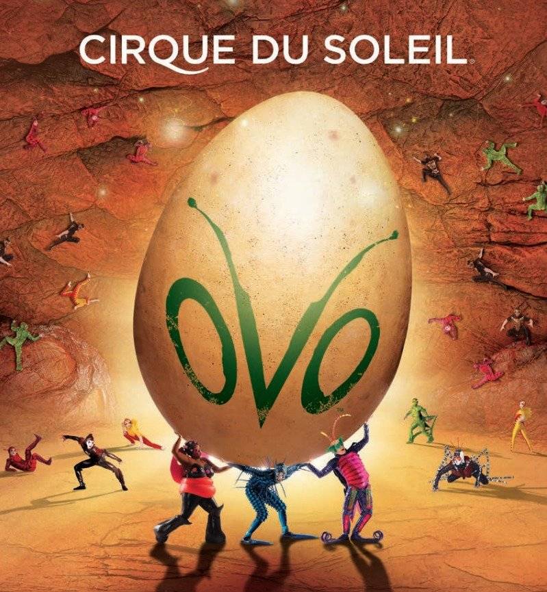 ovo