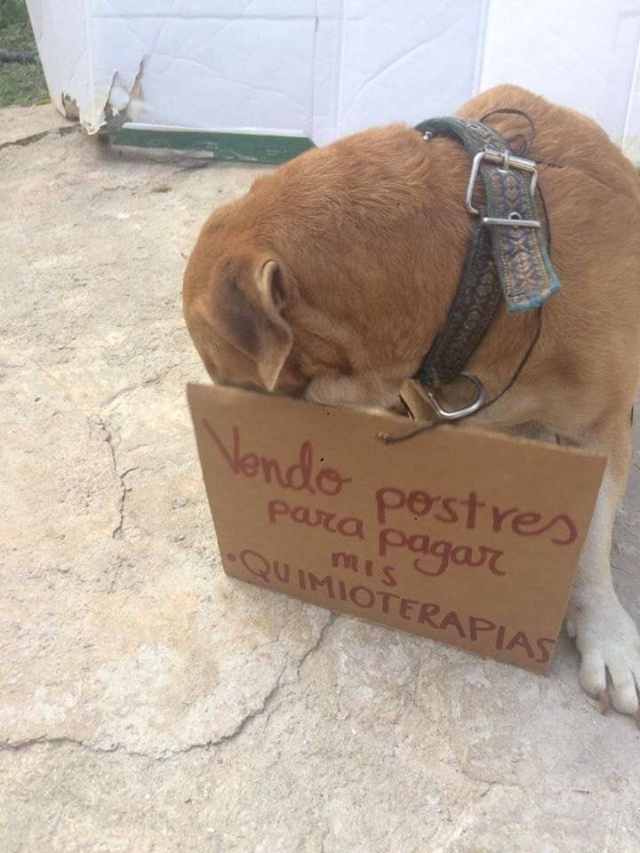 Foto: Facebook Vanessa Euán