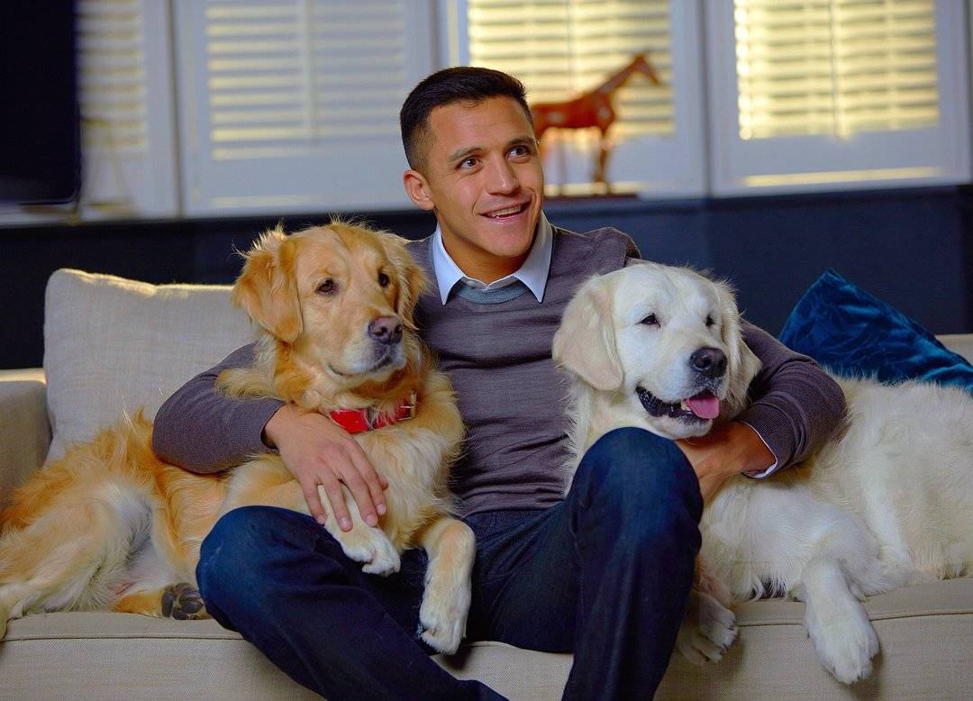 Las fotos más tiernas de Alexis Sánchez