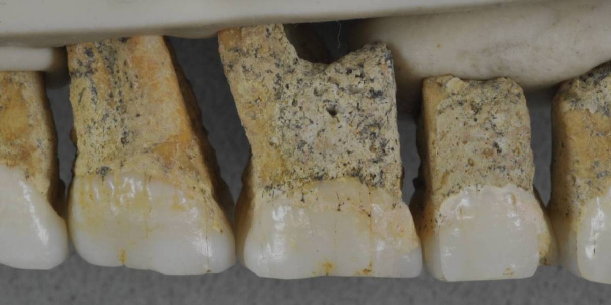 ¿Quién es el Homo luzonensis? la nueva especie humana que se descubrió en Filipinas