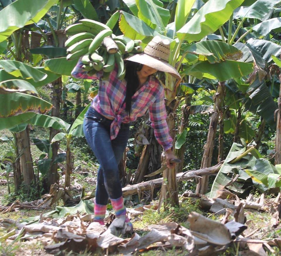 Stephanie Agricultora