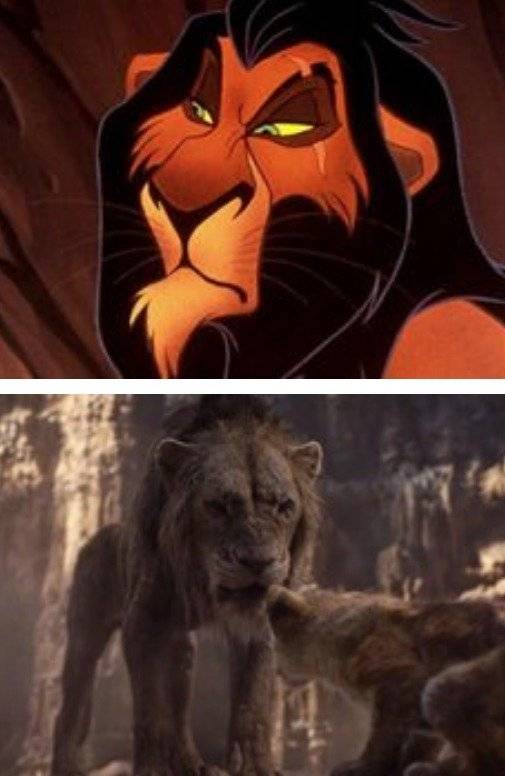 Scar