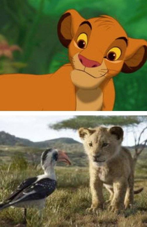 Simba