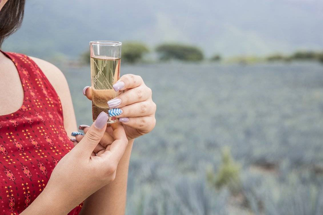 Tianguis Turístico 2019