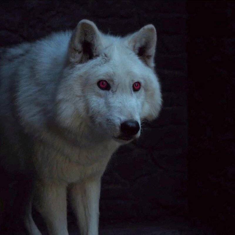 GoT