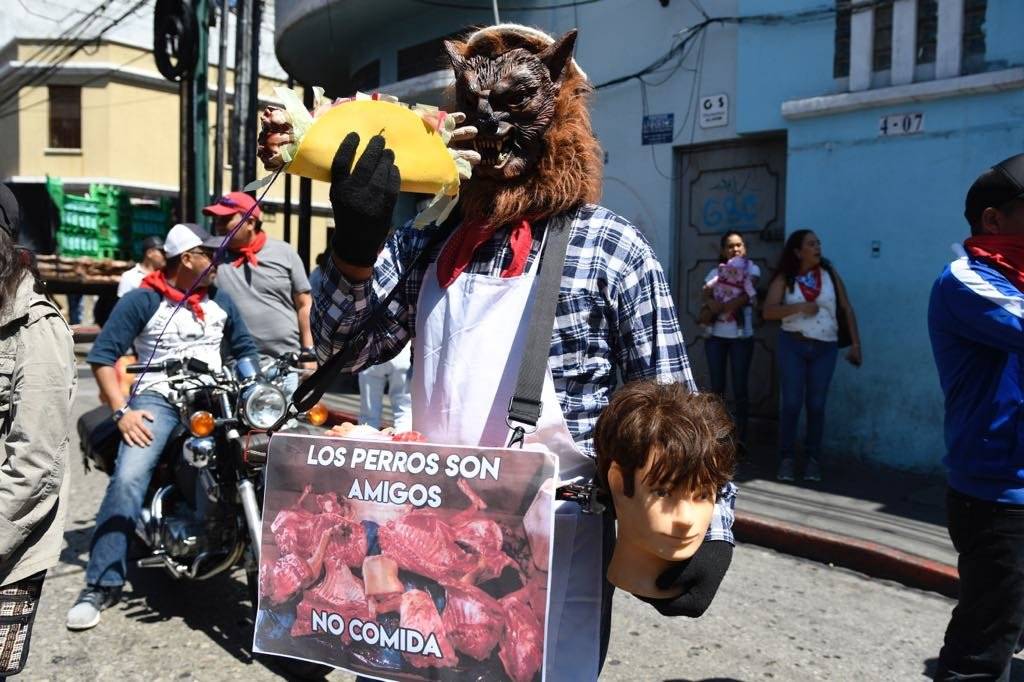 Huelga de Dolores 2019