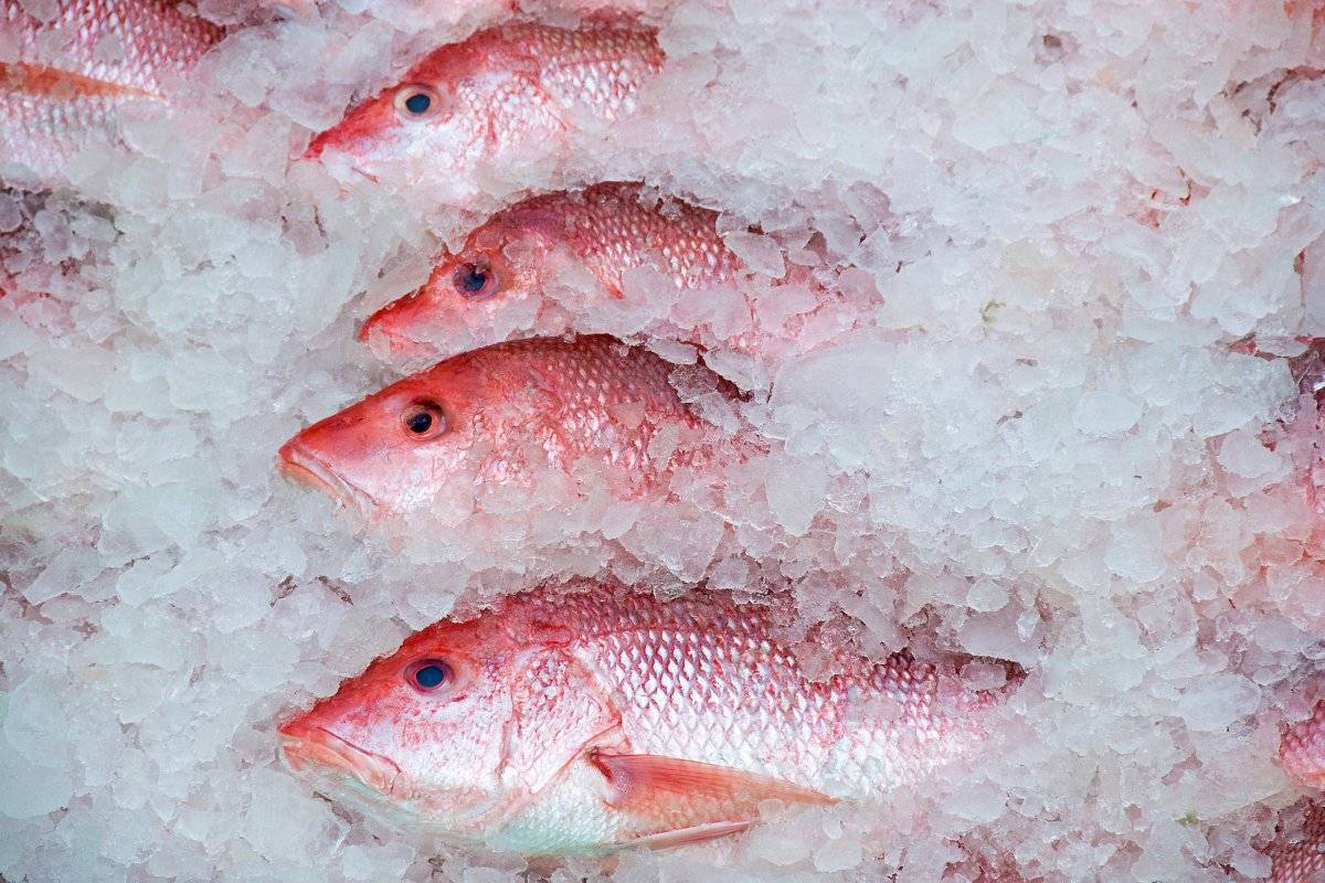 Pescado