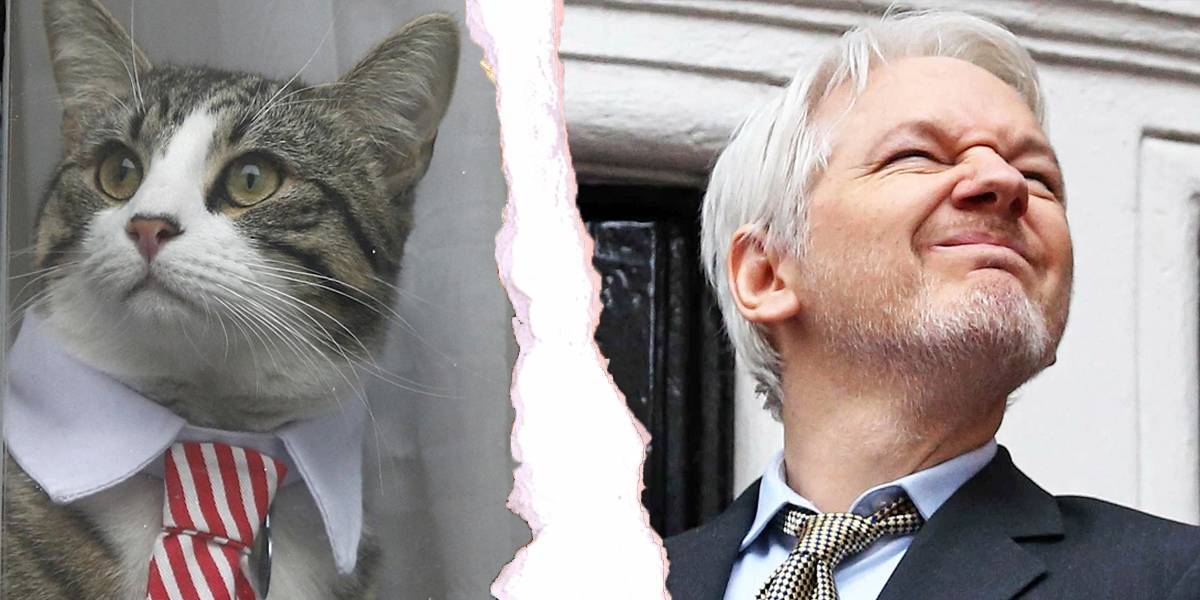 WikiLeaks niega que Julian Assange haya usado a su mascota como gato espía