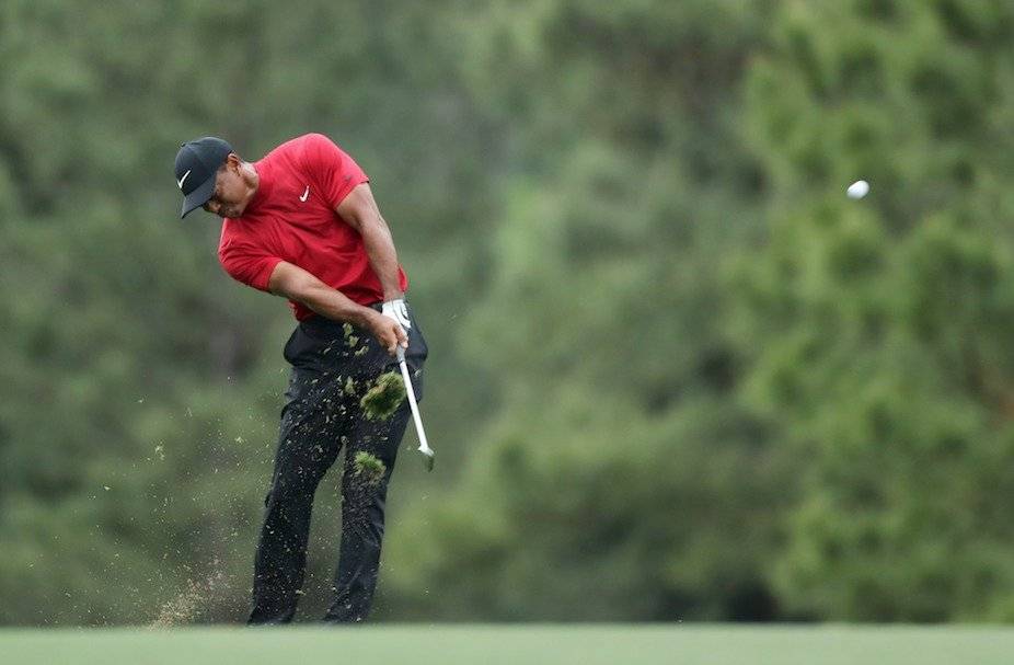 Tiger Woods