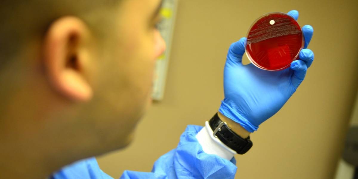 Llegó la "Bomba genética programable", que sólo mata a las bacterias malas y resistentes