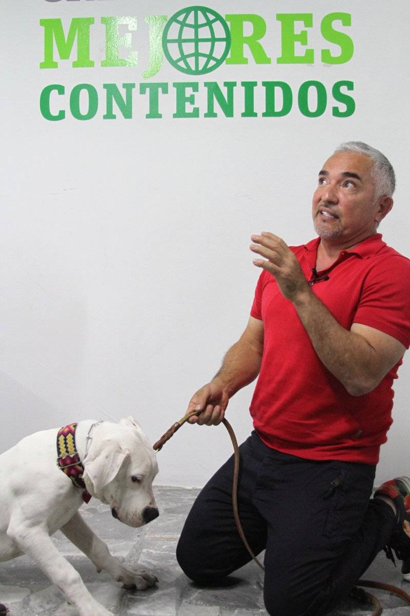 Cesar Millan Le Pega A Un Perro