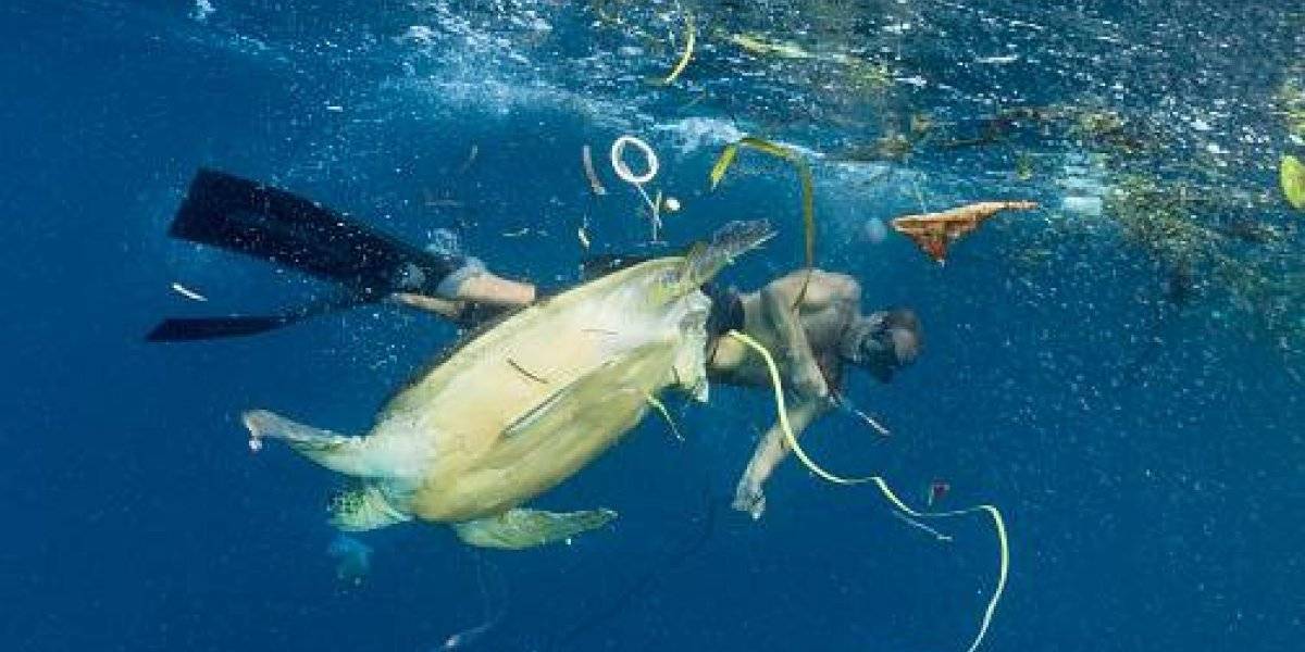 El escenario es más dramático de lo que pensábamos: cientÃficos logran determinar impactante aumento en los niveles de contaminación por plásticos en los océanos