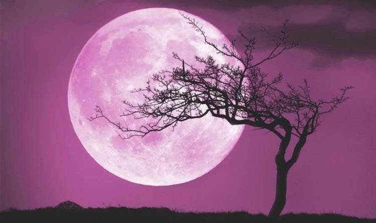 Luna Llena en Libra