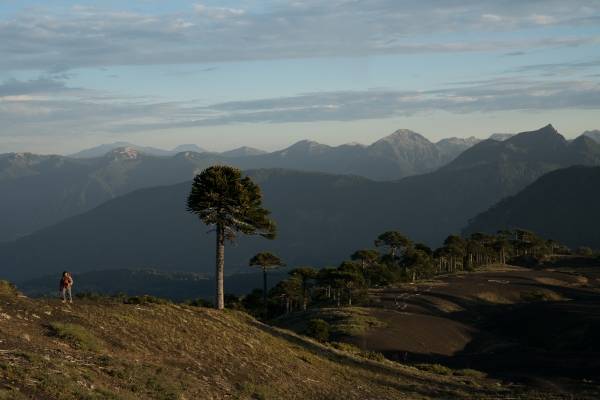 Geoparque Kütralcura
