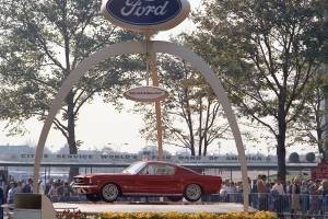 Mustang