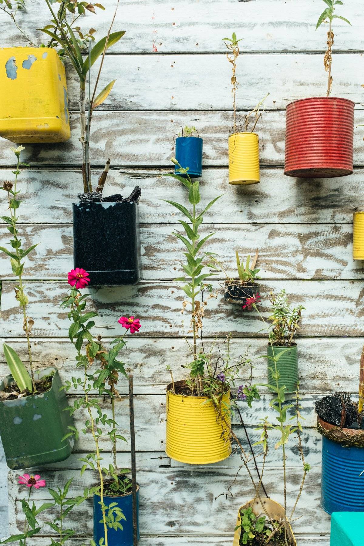 Reciclar plantas