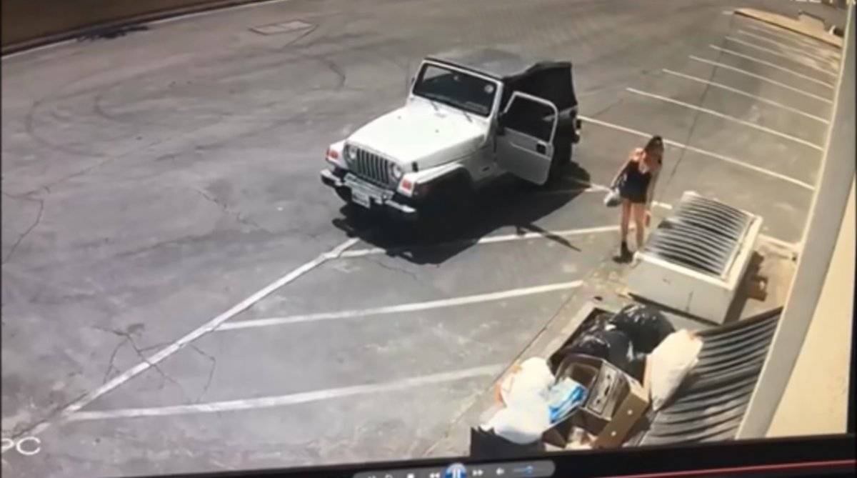 mujer tira cachorros a la basura