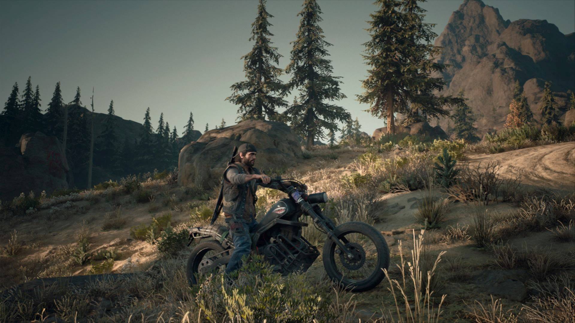 Days Gone Days Gone